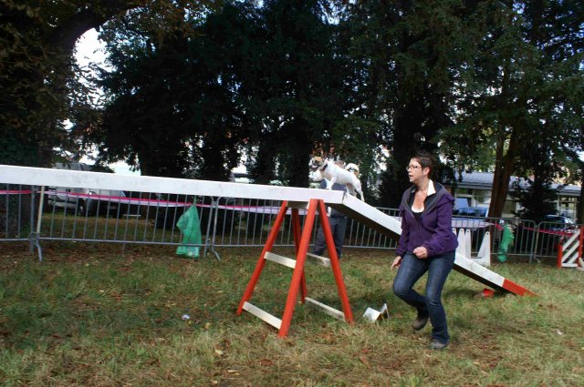 foire-haricots 2011-09-17et18